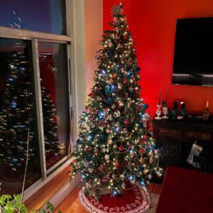 Anne Burrell Instagram - My tree is up and It’s the first Christmas for #ladylorraineperiwinkle !!! Thankfully she is not interested in climbing the tree!!! #nuttynancycrazypants loves Christmas time too!!! #theclaxtons #imaddictedtomykitties #mainecooncats #ilovewhatido #luckygirl
