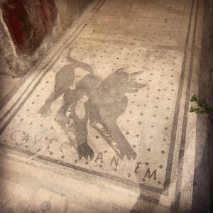 Anne Watanabe Instagram - 🇮🇹ポンペイ&ローマに行ってきました！！
ポンペイはずっと興味があって、過去のInstagramにもイラストを投稿していました🤔
いつかは現地に行ってみたい。
そんな夢が叶いました！✨
放送は28日の博士ちゃんにて！↓

12月28日
18:56〜
イタリア🇮🇹世界遺産3時間スペシャル！

博士ちゃん　海外特別プロジェクト第３弾！
イタリア世界遺産「ポンペイ」「ローマ」
超巨大国家ローマ帝国の滅亡ミステリー　３時間スペシャル！

I went to Pompeii and Rome, Italy!
 My dream came true!