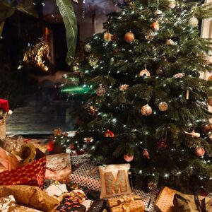 Annemarie Carpendale Instagram - we did it again 💋💥💫🎄💝🔥👿

…diesmal allerdings mit Adventskranzabfackeln (Löschdecke am Start💪🏾🔥), Erste Hilfe Einsatz (der Landarzt musste ran❤️) & Schwiegerdad’s erstes Mal (geärgert wurde sich nur ein bisschen 😈)

#survivingchristmas #17years #andonandon #chaosfamily #happycookie #helloagain #bettertogether #merryXmas #von❤️ #toYOU 🫶🏽