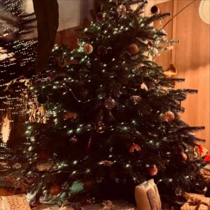 Annemarie Carpendale Instagram - we did it again 💋💥💫🎄💝🔥👿

…diesmal allerdings mit Adventskranzabfackeln (Löschdecke am Start💪🏾🔥), Erste Hilfe Einsatz (der Landarzt musste ran❤️) & Schwiegerdad’s erstes Mal (geärgert wurde sich nur ein bisschen 😈)

#survivingchristmas #17years #andonandon #chaosfamily #happycookie #helloagain #bettertogether #merryXmas #von❤️ #toYOU 🫶🏽