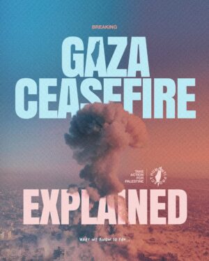Annie Lennox Instagram - Dear Friends, 
The ceasefire will be called into effect on Sunday 19th January.
From my perspective.. knowing that bombs will still be falling on Gaza until Sunday, I have to say CEASEFIRE sounds great, but we have to hold caution before celebrating. Gaza has been absolutely devastated. Tens of thousands of men, women and children have undergone continuous bombardment for almost 15 months..The slaughter and carnage - wounding, starving, burning, destruction of every part of infrastructure.. 
Entire families wiped out.
The torture, starvation, amputation of limbs ( often  without anaesthetic) - disease, freezing cold rain, wind, ethnic cleansing - nowhere safe.. 
The destruction of schools, hospitals, universities, homes, churches,mosques.. historic  buildings… The list of sadistic cruelty endured by the Palestinian people is indescribably brutal, in a way that has made me feel unspeakably horrified and deeply ashamed of the entire global system, with it’s industrial military complex. 
I almost lost my entire faith in every aspect of it all. Except for those who stood up and called it out.  You have my deepest respect and appreciation!!! 
☮️☮️☮️☮️☮️☮️☮️☮️☮️☮️