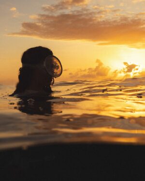 Ariadna Hafez Navarro Instagram - ~ Sintonía 🌅🤍 ~
@megbatphoto capturando momentos🫶🏼 el atardecer bajo el agua es una explosión de colores, de rayos que entran por la superficie creando sensaciones mágica. 
El lugar donde más me gusta pasar el atardecer es flotando en medio del azul 🌊