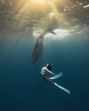 Ariadna Hafez Navarro Instagram - De lo que están hechos mis sueños 🐋🤍 
📷 Magic by @megbatphoto 

Shot under Permit Diren No6381