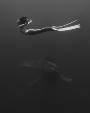 Ariadna Hafez Navarro Instagram - De lo que están hechos mis sueños 🐋🤍 
📷 Magic by @megbatphoto 

Shot under Permit Diren No6381