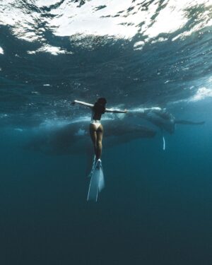 Ariadna Hafez Navarro Instagram - De lo que están hechos mis sueños 🐋🤍 
📷 Magic by @megbatphoto 

Shot under Permit Diren No6381