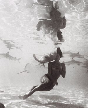 Ariadna Hafez Navarro Instagram - When the ocean becomes art 🤍🎨 
Some films 🎞️ with @megbatphoto , my most special underwater pictures