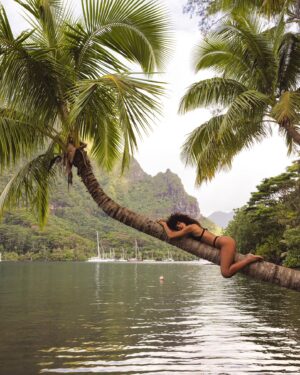 Ariadna Hafez Navarro Instagram - Palm trees & ocean, u can find me there 🌴🌊🤍