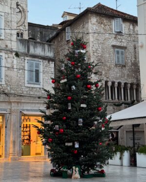 Bab Buelens Instagram - unshared of the past few days
1. :-)
2. a new type of vegetation in Dalmacija 🎄
3. today’s sunset after a rainy day (i can confirm Dalmacija is beautiful in any season)
4. we had ćevapi and fries for lunch today
5. my friends across the sea 💕
6. a rare outfit that doesn’t involve birckenstocks or plastic uggs   the colors in this picture 🥰
7. i learned how to make husarski from Vice’s teta 👩‍🍳
8. dog playdate with the neighbours’ dogs
9. the plastic uggs i was telling you about