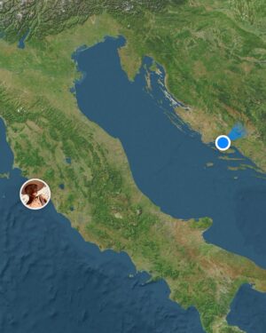 Bab Buelens Instagram - unshared of the past few days
1. :-)
2. a new type of vegetation in Dalmacija 🎄
3. today’s sunset after a rainy day (i can confirm Dalmacija is beautiful in any season)
4. we had ćevapi and fries for lunch today
5. my friends across the sea 💕
6. a rare outfit that doesn’t involve birckenstocks or plastic uggs   the colors in this picture 🥰
7. i learned how to make husarski from Vice’s teta 👩‍🍳
8. dog playdate with the neighbours’ dogs
9. the plastic uggs i was telling you about