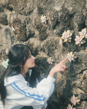 Baek Ji-heon Instagram - 🦋