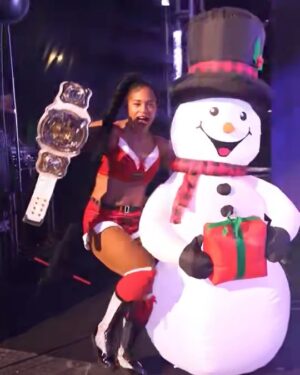 Bianca Crawford Instagram - We were a lil naughty and a lil nice on this Holiday Tour!
And Mrs. Claus brought the magic every single night.
#ESTofWWE
#WWEJacksonville #WWEOrlando #WWEMiami #WWEDetroit