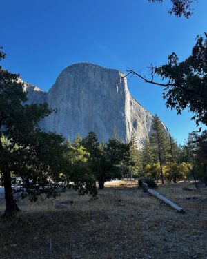 Cami Strella Instagram - dnd 📍Yosemite