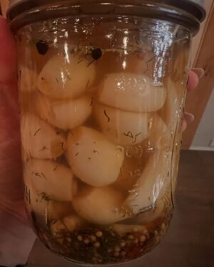 Carrie Underwood Instagram - Spent all day yesterday dealing with all the garlic in the root cellar. I’ll have a new crop coming later this year so I figured I might as well preserve last year’s haul. I pickled some, minced and pressure canned some and dried some for garlic powder. Our whole house now smells like garlic, but I’m happy with how it all turned out! Now it’s ready to use when I need it! 🧄