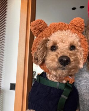 Ceren Moray Instagram - Ay sonunda yapacağımız ve aşırı heyecanlandığımız bir yemeğin demolarını gömerek başladığım; full şapkalı, maskeli, domatesli, analı babalı, gym’li, tedarikli, ıtışlı tıkışlı bir haftayı sondaki fotoğrafın muhattabıyla şenlikler içinde bitirdim. Bana helal olsun kız