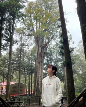 Chanidapa Pongsilpipat Instagram - Nature Therapy with Hinoki Cypress. 🌿🍁 #alishan #alishannationalscenicarea #alishannationalforestrecreationarea #chiayi #taiwan #ChaniInAsia #prada