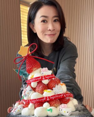Charmaine Sheh Instagram - Happy Boxing Day ❣️
#thankyou