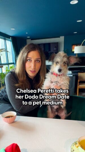Chelsea Peretti Instagram - @chelsanity brings a medium to her first date 🔮 🌹

We’re pairing celebrities and rescue animals up for the cutest blind date in our series #DodoDreamDate! In this episode, @chelsanity spends the afternoon with Max. 

Presented by @hillspet 
#HillsPartner 

Special thanks to @chelsanity & Max! 

New episodes of Call Chelsea Peretti drop every Sunday! It's available on all streaming platforms. 

Listen to Chelsea's EPs “Phosphorescent Panic” and “Foam and Flotsam”, available on all music streaming platforms. 

Special thanks to @intuitivelibby

And check out @annenbergpetspace to see more animals available for adoption.