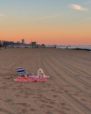 Courtney Stodden Instagram - ✨ embracing the magic of the beach at sunset, where the child in me dances free and happy 🌅 💖 each wave whispers dreams, and every grain of sand holds a story. Here, I find my spirit soaring in harmony with nature 🌊 ✨ #beachvibes #sunsetmagic #freespirit #naturechild #soulfulmoments 💋 🐾