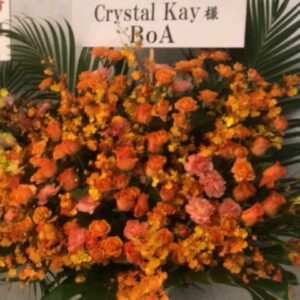 Actress Crystal Kay HD Photos and Wallpapers January 2025