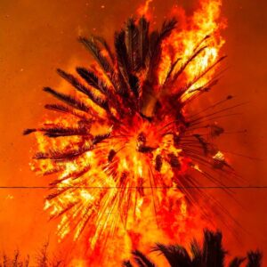 Debi Mazar Instagram - My heart breaks for Los Angeles .
I cannot believe what I’m seeing on the news.
We are praying for everyone’s safety! 🙏🏻
Have never seen anything like this.Lived there for many years & loved it so much. 🌴 
Today I can’t reach many friends.
Praying the winds die down.
🙏🏻🙏🏻🙏🏻🙏🏻