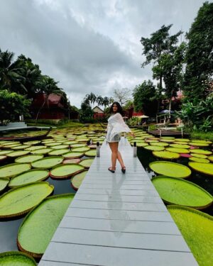 Dimple Hayathi Instagram - 🪷 all around me 🥰 #phuket #dimplehayathi #madoobuaphuket #lotus #love #me
