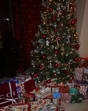 Dominique Alagia Instagram - šťastné a veselé od Alagiaovců ❤️🎄
jsem vděčná.