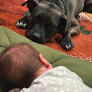 Dori Prange Instagram - 2024
-Announced Pregnancy on National Television 
-Married my love, @theangeloparker 💍
-Honeymooned in the Florida Keys
-Announced our opening of @thediceboxcafe in Indiana 
-Had a beautiful home birth
-And became a mom to the most amazing little doe-eyed girl in the world

Couldn’t ask for a better year! Chaotic but incredible.