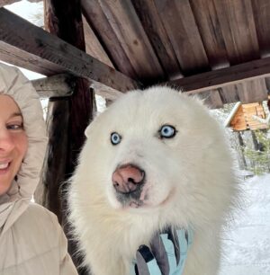 Ekaterina Guseva Instagram - Приехали в гости к якутским лайкам! ! Счастливые, любимые псы ! Их хозяева, Женя и Гена, создали идеальные условия для своих обожаемых питомцев, которых уже 27!  Знакомьтесь  @sibodyssey #ЖивиПоМечте