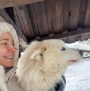 Ekaterina Guseva Instagram - Приехали в гости к якутским лайкам! ! Счастливые, любимые псы ! Их хозяева, Женя и Гена, создали идеальные условия для своих обожаемых питомцев, которых уже 27!  Знакомьтесь  @sibodyssey #ЖивиПоМечте