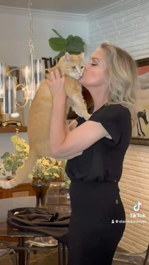 Elaine Hendrix Instagram - Life: 10/10 🐱🐱🐶🐶🐶🐶

#childlesscatlady #childlessdoglady #livingmybestlife