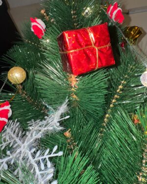 Elakkiya Instagram - Happy Christmas to all 🎄✨♥️

#elakkiya#happychristmas