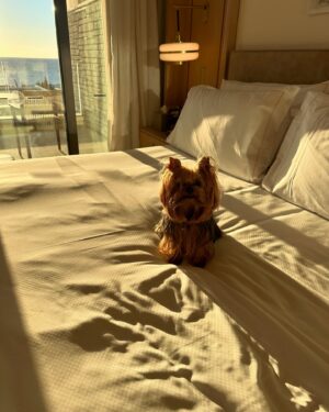 Eleftheria Eleftheriou Instagram - Sunday vibes 🐶 ☀️