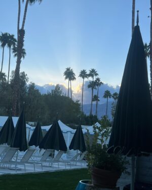 Emily Willis Instagram - Lately .