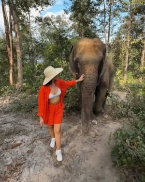 Eugenia Lemos Instagram - Momento mágico que jamás olvidaré 🥹🐘

Una experiencia inolvidable, fuimos a un Santuario de 
elefantes de #changmai , donde cuidan elefantes rescatados o huérfanos, y  les brindan una vida lo más natural pisible, buscando el bienestar de elefantes . 

En las noches los elefantes van solos a dormir a las afueras y en las mañanas regresan al santuario solos, lo dulces y amoroso que son no se puede creer .  Juegan para pedir comida, son muy suaves en sus movimientos  y muy amigables con las personas .  Esta tarde jamás la olvidaré  fue mágico poder alimentar y compartí con ellos 🥹🐘✨

En los santuarios de de elefantes puedes: observarlos en su habitad, una interacción ética con los elefantes , rehabilitación, rescate y educación. ✨🤍🐘

#tailandia 🇹🇭

Les cuento que en el santuario que fuimos nosotros
(leimos mucho antes) respetaban el encuentro, solo si ellos se acercaban y están a gusto, también hay actividades de observación, como observar de lejos al bebé elefante con su mamá y a los elefantes bañarse, comer , etc… 
Hoy día en Tailandia solo quedan 4.400 mil elefantes, hacia 1850 había 100.000 elefantes 💔
Tristemente en Tailandia existía un tradicional método de "domesticación" de elefantes, una costumbre arraigada desde hace muchos siglos y que formaba parte de la cultura del país 💔
Desde muy pequeños se separa a las crías de sus madres en estado salvaje, en ocasiones después de haberlas matado, y se les sometía a un cruel aislamiento y a la tortura hasta someterles y que sean totalmente sumisos al hombre de por vida 💔

 Actualmente, gracias a organizaciones como FAADA, Bring the Elephant Home o Elephant Family, se está mejorando la situación del elefante asiático y su supervivencia, cuidando su hábitat natural y con un trato más ético de los animales en cautiverio.
Estás organizaciones fomentan un turismo sostenible, donde se conocen e interactúan de forma ética con los elefantes, de manera responsable apoyando santuarios y centros de rescate de elefantes para poder darles una mejor vida en  Tailandia 🙏