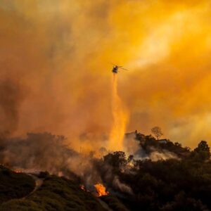 Fernanda Romero Instagram - My heart aches 💔 
Last night was a horrible night. I  am deeply sorry for those who have lost everything in the devastating California fires. 💔 To those who had to flee their homes, leaving behind memories, cherished belongings, and even their beloved pets—my thoughts and prayers are with you. It’s unimaginable to see the city that has given so much now engulfed in such destruction. This is heartbreaking and enraging all at once. Sending love, strength, and hope to everyone affected. You are not alone.

🫶🏽gracias también a nuestros amigos que nos han llamado y ofrecido sus casas. Gracias de corazón. 

-
-
-
-
-
-
-
-
-
#CaliforniaStrong
#PrayForCalifornia
#CaliforniaFires
#WeStandWithYou
#RebuildCalifornia