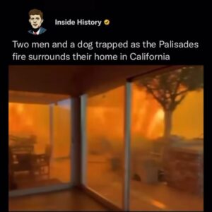Fernanda Romero Instagram - My heart aches 💔 
Last night was a horrible night. I  am deeply sorry for those who have lost everything in the devastating California fires. 💔 To those who had to flee their homes, leaving behind memories, cherished belongings, and even their beloved pets—my thoughts and prayers are with you. It’s unimaginable to see the city that has given so much now engulfed in such destruction. This is heartbreaking and enraging all at once. Sending love, strength, and hope to everyone affected. You are not alone.

🫶🏽gracias también a nuestros amigos que nos han llamado y ofrecido sus casas. Gracias de corazón. 

-
-
-
-
-
-
-
-
-
#CaliforniaStrong
#PrayForCalifornia
#CaliforniaFires
#WeStandWithYou
#RebuildCalifornia
