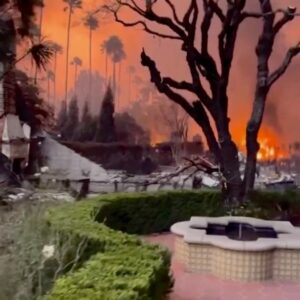Fernanda Romero Instagram - My heart aches 💔 
Last night was a horrible night. I  am deeply sorry for those who have lost everything in the devastating California fires. 💔 To those who had to flee their homes, leaving behind memories, cherished belongings, and even their beloved pets—my thoughts and prayers are with you. It’s unimaginable to see the city that has given so much now engulfed in such destruction. This is heartbreaking and enraging all at once. Sending love, strength, and hope to everyone affected. You are not alone.

🫶🏽gracias también a nuestros amigos que nos han llamado y ofrecido sus casas. Gracias de corazón. 

-
-
-
-
-
-
-
-
-
#CaliforniaStrong
#PrayForCalifornia
#CaliforniaFires
#WeStandWithYou
#RebuildCalifornia