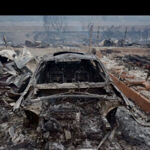 Fernanda Romero Instagram - My heart aches 💔 
Last night was a horrible night. I  am deeply sorry for those who have lost everything in the devastating California fires. 💔 To those who had to flee their homes, leaving behind memories, cherished belongings, and even their beloved pets—my thoughts and prayers are with you. It’s unimaginable to see the city that has given so much now engulfed in such destruction. This is heartbreaking and enraging all at once. Sending love, strength, and hope to everyone affected. You are not alone.

🫶🏽gracias también a nuestros amigos que nos han llamado y ofrecido sus casas. Gracias de corazón. 

-
-
-
-
-
-
-
-
-
#CaliforniaStrong
#PrayForCalifornia
#CaliforniaFires
#WeStandWithYou
#RebuildCalifornia