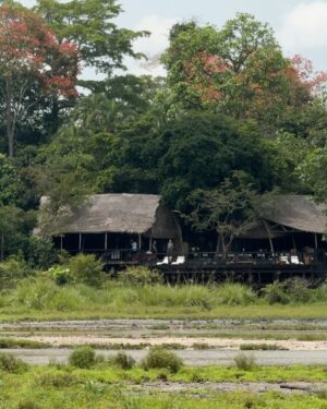 Flora Coquerel Instagram - The Earth’s second lung, where nature breathes life into our planet. 🌳🇨🇬

@relais.alima @bissoagency 
Invitation
