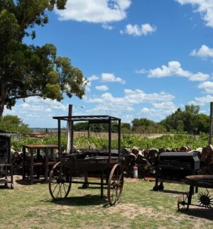 Florencia Bertotti Instagram - Escapada a Carmelo.
A 3 hs de Buenos Aires siempre es un plan perfecto.
Esta vez con madres para mimarlas! 
Spa, caminatas, cabalgatas, atardeceres y platos riquisiiimos.
Hace más de 10 años q venimos y volvemos a venir. Siempre es un placer.

@carmeloresortandspa 🤍