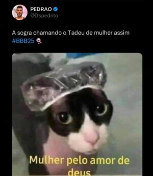 Foquinha Instagram - O #BBB25 ESTREOU! O que acharam? 🗣️
