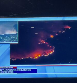Fortune Feimster Instagram - A lot of people checking in. Thank you. We’re good. It was another nerve wracking night in LA. Started getting alerts that the Palisades Fire was moving north towards us. Went to fill Jax’s car up with gas and I saw the mountains near us on fire. Came home and took this pic from our bedroom. We gathered our important things. Which is such a weird feeling deciding what’s worthy of taking. I kept watching the mountain hoping they could keep the fires from taking over the ridge. All these aircrafts were swooping in. They slowly were able to hold it back. We sighed with relief for now but this fire and the Altadena one still rage on. Only 11% contained. Santa Ana winds returning Monday. God bless all our firefighters and the water aircraft pilots and everybody working round the clock to fight this thing. I can’t imagine what they’re up against. Praying for my city and all the people who’ve lost everything.