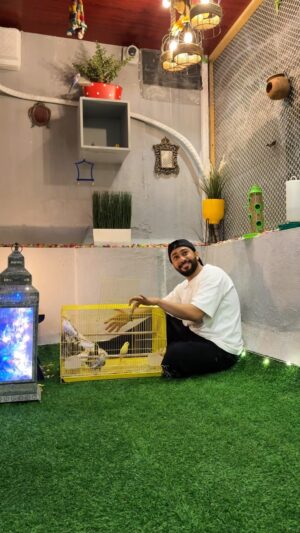 Gauahar Khan Instagram - Built a little home for our feathered friends 🦜 Ensuring they’re safe and free from the small box. Seeing Zehaan’s joy made it all worth it😍