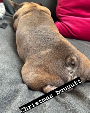 Gillian Anderson Instagram - Happy Nipplemas to one and all from me & Stella 🎄🤶🏻🐶