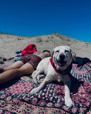 Gimena Accardi Instagram - no me salen las palabras, y a Neruda le sobraban:

“…mi perro me miraba dándome la atención necesaria,
la atención necesaria
para hacer comprender a un vanidoso,
que siendo perro él,
con esos ojos, más puros que los míos,
perdía el tiempo, pero me miraba
con la mirada que me reservó
toda su dulce, su peluda vida,
su silenciosa vida,
cerca de mí, sin molestarme nunca,
y sin pedirme nada.

Ay cuántas veces quise tener cola
andando junto a él por las orillas del mar,
y mi perro brincando, hirsuto,
lleno de voltaje marino en movimiento:
mi perro vagabundo y olfatorio
enarbolando su cola dorada
frente a frente al Océano y su espuma.
alegre, alegre, alegre
como los perros saben ser felices,
sin nada más,
con el absolutismo de la naturaleza descarada.
No hay adiós a mi perro que se ha muerto” 

🌹🌹🌹

ummi vivió 16 años de plena salud y rodeada de mucho amor. nos acompañó en todas, y nos hizo muy felices. gracias mi vieja por tanto amor, te amo con el alma. 
hasta en esto fue especial, una noche simplemente se fue a dormir y ya no se despertó. en paz y sin sufrir, cuando ella así lo quiso 💗
