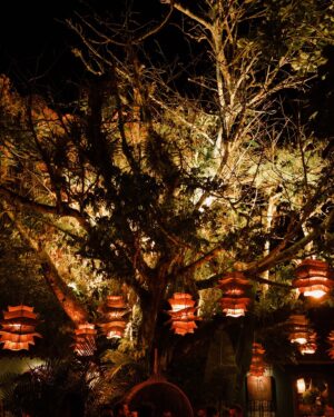 Giulia Nassa Instagram - Noite da Bahia ⛪️🌶️🐆🇧🇷
