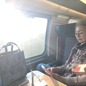 Han Hye-jin Instagram - 24년 11월 엄마와 파리
파리 에이전시가 있던 방돔 광장, CHANEL 쇼 피팅을 했던 깡봉가의 본사 건물 그리고 16년 전 CELINE 쇼 무대가 있던 튈르리 공원까지 엄마와 천천히 걸었다. 공원을 거닐며 무대가 있던 곳을 떠올리려해도 도무지 기억이 나지않았다. 여긴 너무 오래만에 와서 기분이 이상하다는 나의 말에 엄마는 "꿈을 꿨던 것 같아?" 라고 말했다.