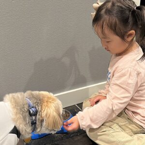 Han Ji-hye Instagram - 만 3세 우뜨리 (윤슬이 발음) 랑 미국여행 #장난꾸러기  #미국고모집 #놀이터 #강아지우끼 우끼한테 간식을 몰래 자꾸 줘서 설사했던 우끼.. 😳