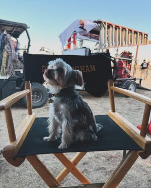 Hassie Harrison Instagram - Babe, wake up. The last episode of @yellowstone is on tonight. 

Are you guys ready for the finale?!? I’m here for all your predictions. 😝