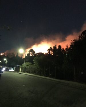 Holland Taylor Instagram - My street as I evacuated last night. Had the winds been what they were a mere 12 hours before, we would have lost our entire canyonette. Grateful beyond words- horrified by catastrophic unimaginable loss of homes of several THOUSANDS of families.